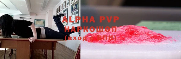 Альфа ПВП Верея