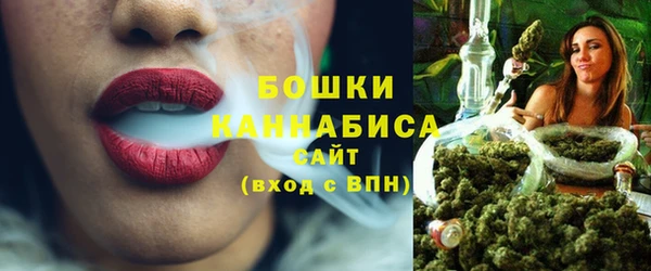Альфа ПВП Верея