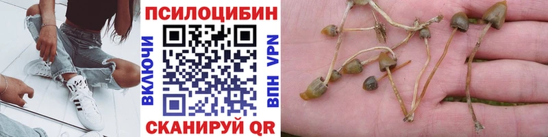 Псилоцибиновые грибы Magic Shrooms  blacksprut tor  Улан-Удэ 