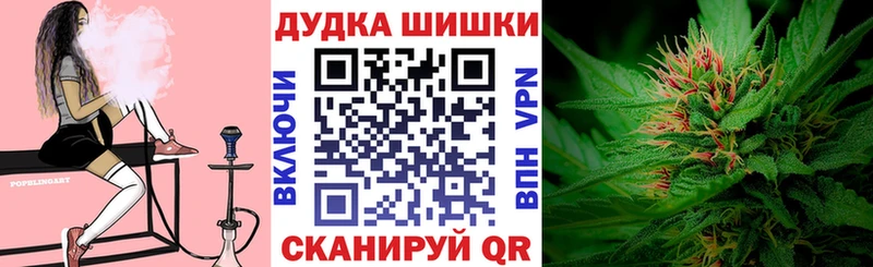 MEGA маркетплейс  Улан-Удэ  Шишки марихуана план 